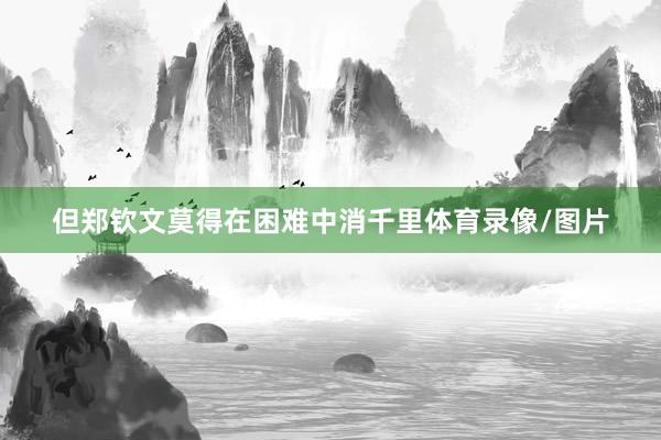 但郑钦文莫得在困难中消千里体育录像/图片