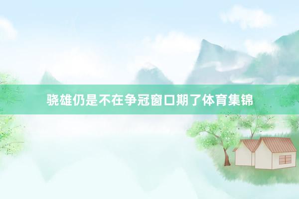 骁雄仍是不在争冠窗口期了体育集锦