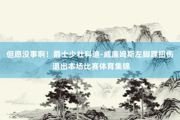 但愿没事啊！爵士少壮科迪-威廉姆斯左脚踝扭伤 退出本场比赛体育集锦