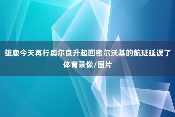 雄鹿今天再行奥尔良升起回密尔沃基的航班延误了体育录像/图片