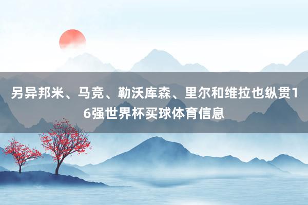另异邦米、马竞、勒沃库森、里尔和维拉也纵贯16强世界杯买球体育信息