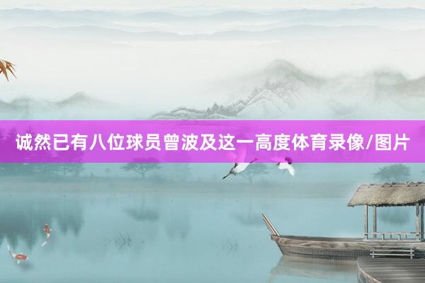 诚然已有八位球员曾波及这一高度体育录像/图片