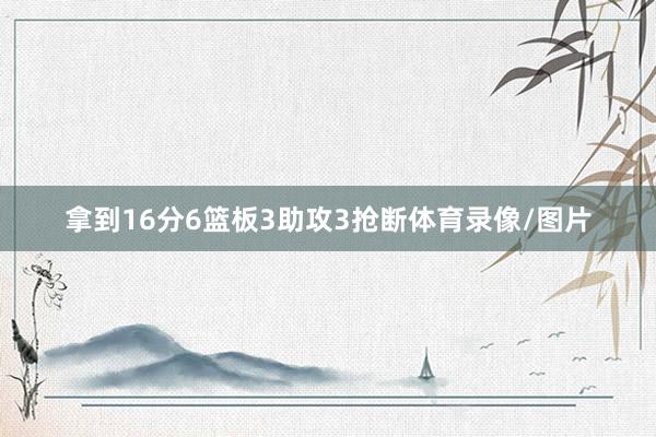 拿到16分6篮板3助攻3抢断体育录像/图片
