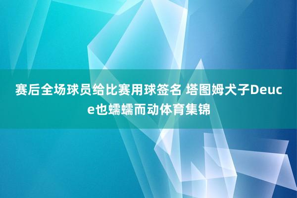 赛后全场球员给比赛用球签名 塔图姆犬子Deuce也蠕蠕而动体育集锦