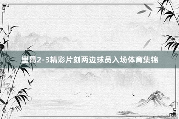 里昂2-3精彩片刻两边球员入场体育集锦