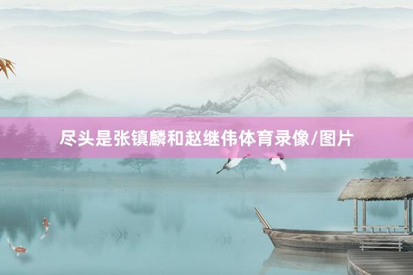 尽头是张镇麟和赵继伟体育录像/图片