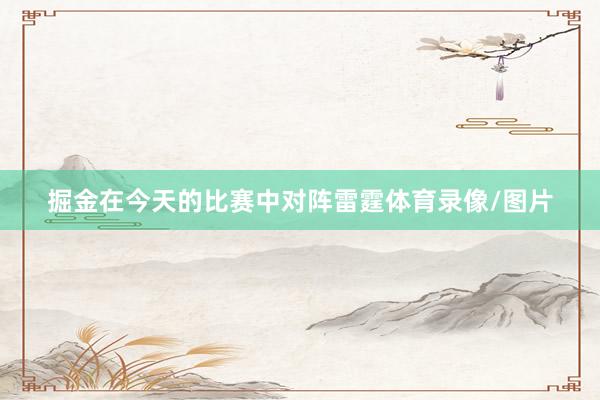 掘金在今天的比赛中对阵雷霆体育录像/图片