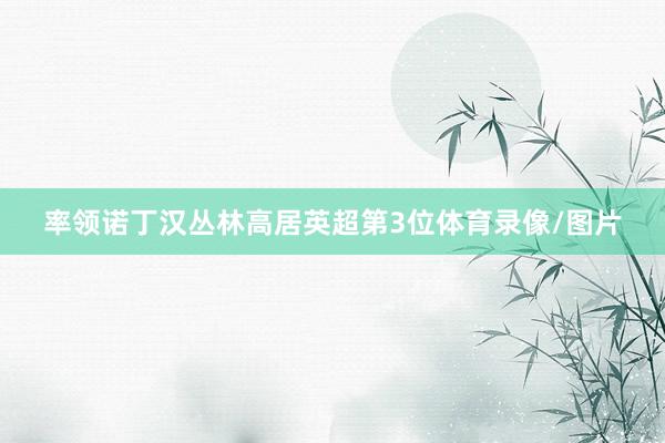 率领诺丁汉丛林高居英超第3位体育录像/图片