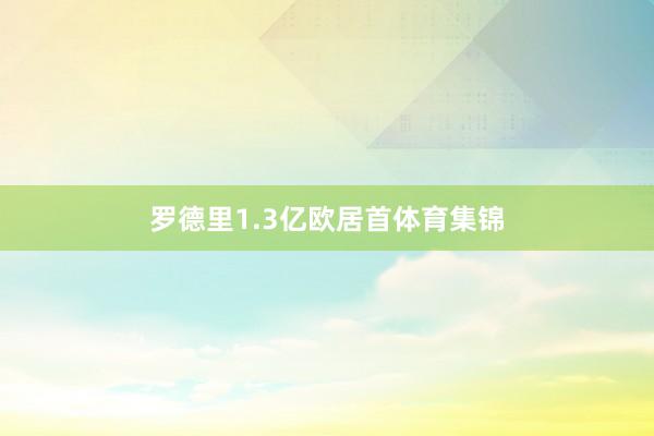 罗德里1.3亿欧居首体育集锦