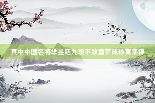 其中中国名将芈昱廷九段不敌童梦成体育集锦