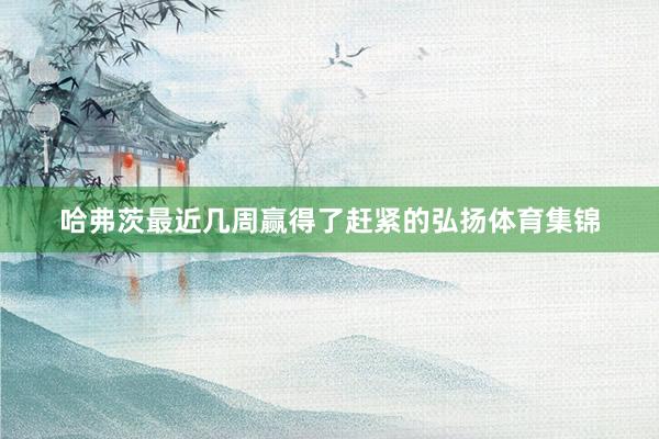 哈弗茨最近几周赢得了赶紧的弘扬体育集锦