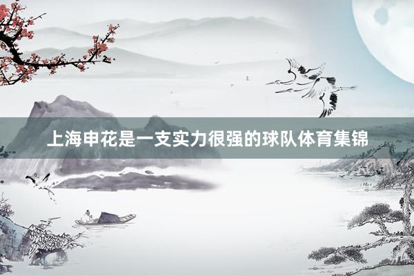 上海申花是一支实力很强的球队体育集锦