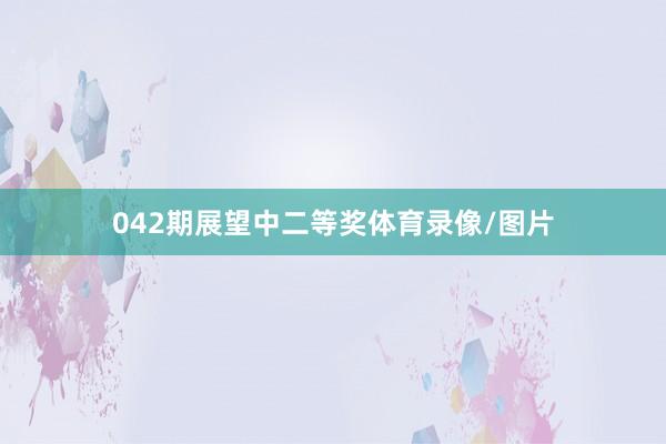 042期展望中二等奖体育录像/图片