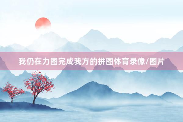 我仍在力图完成我方的拼图体育录像/图片