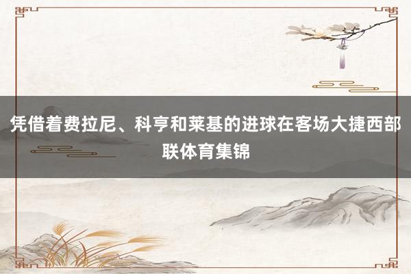 凭借着费拉尼、科亨和莱基的进球在客场大捷西部联体育集锦