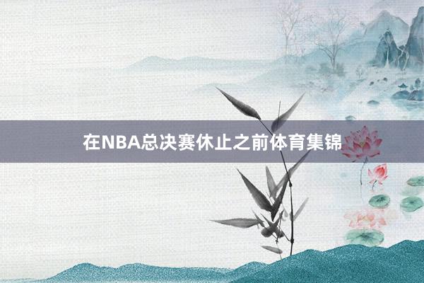 在NBA总决赛休止之前体育集锦