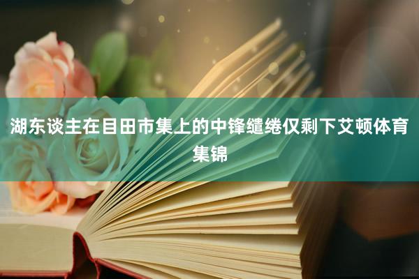 湖东谈主在目田市集上的中锋缱绻仅剩下艾顿体育集锦