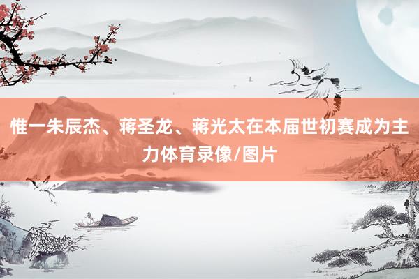 惟一朱辰杰、蒋圣龙、蒋光太在本届世初赛成为主力体育录像/图片