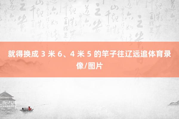 就得换成 3 米 6、4 米 5 的竿子往辽远追体育录像/图片