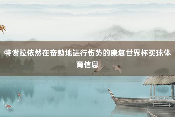特谢拉依然在奋勉地进行伤势的康复世界杯买球体育信息