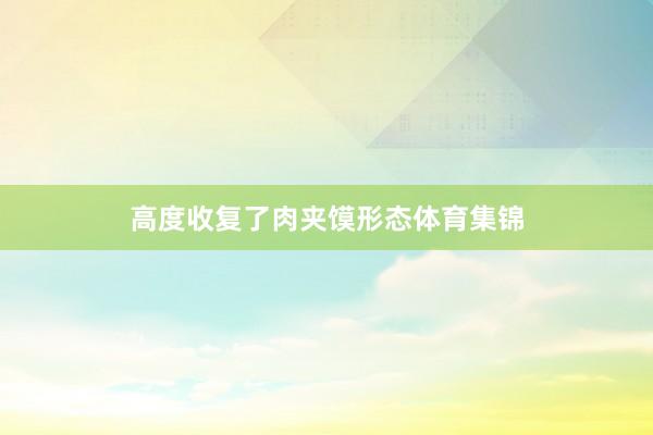 高度收复了肉夹馍形态体育集锦