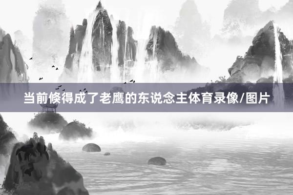 当前倏得成了老鹰的东说念主体育录像/图片