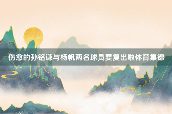 伤愈的孙铭谦与杨帆两名球员要复出啦体育集锦