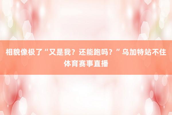 相貌像极了“又是我？还能跑吗？”乌加特站不住体育赛事直播