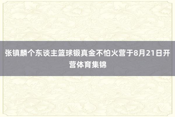 张镇麟个东谈主篮球锻真金不怕火营于8月21日开营体育集锦