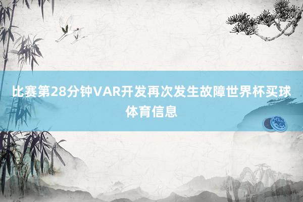 比赛第28分钟VAR开发再次发生故障世界杯买球体育信息