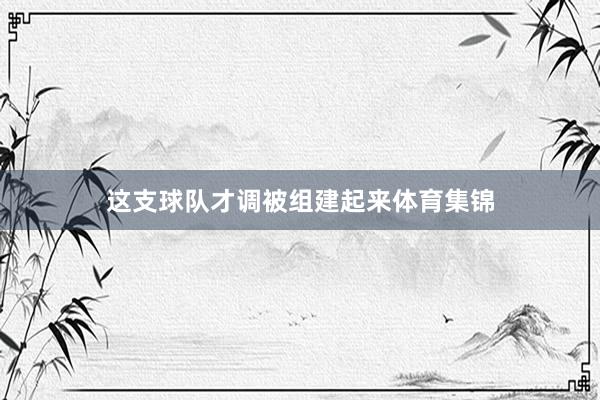 这支球队才调被组建起来体育集锦