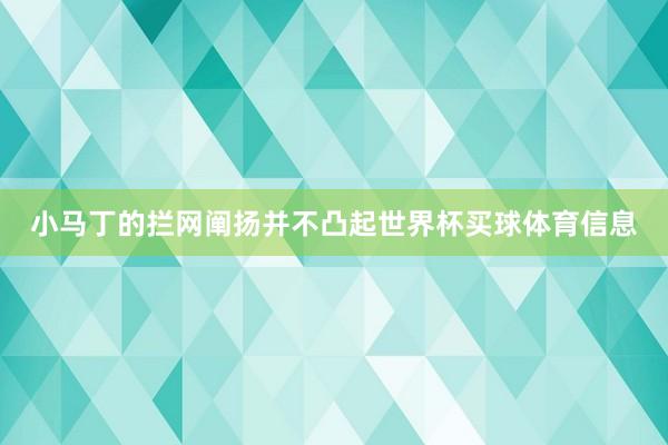 小马丁的拦网阐扬并不凸起世界杯买球体育信息