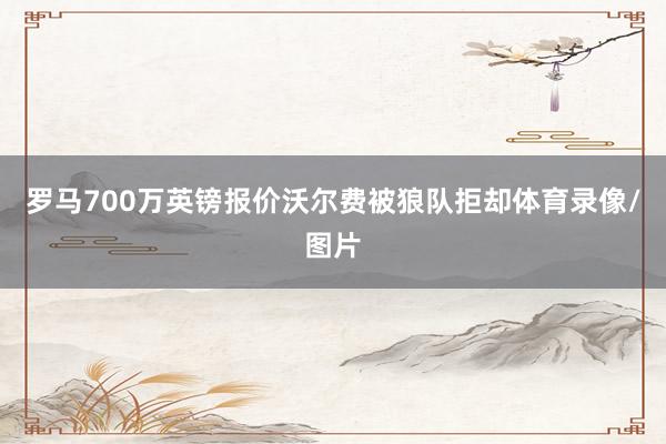 罗马700万英镑报价沃尔费被狼队拒却体育录像/图片
