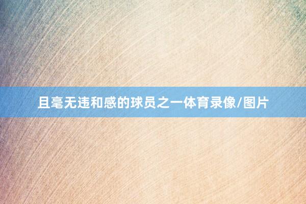 且毫无违和感的球员之一体育录像/图片