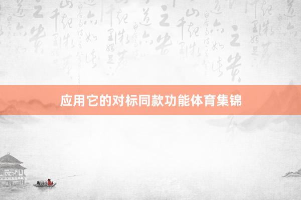 应用它的对标同款功能体育集锦