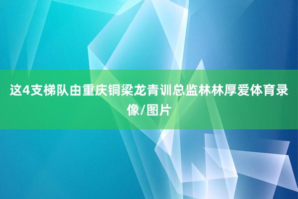 这4支梯队由重庆铜梁龙青训总监林林厚爱体育录像/图片
