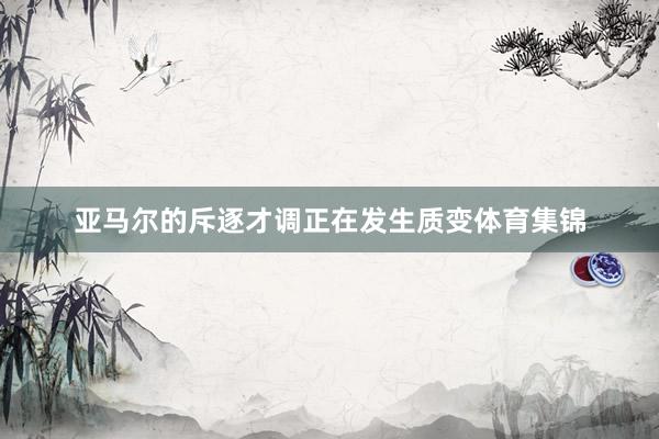 亚马尔的斥逐才调正在发生质变体育集锦