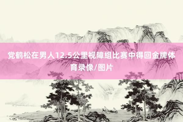 党鹤松在男人12.5公里视障组比赛中得回金牌体育录像/图片