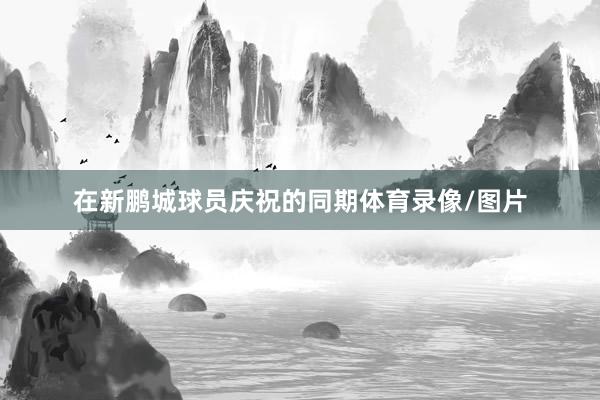 在新鹏城球员庆祝的同期体育录像/图片