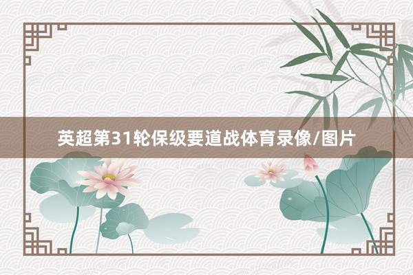 英超第31轮保级要道战体育录像/图片