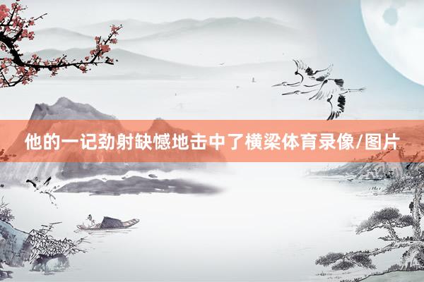 他的一记劲射缺憾地击中了横梁体育录像/图片