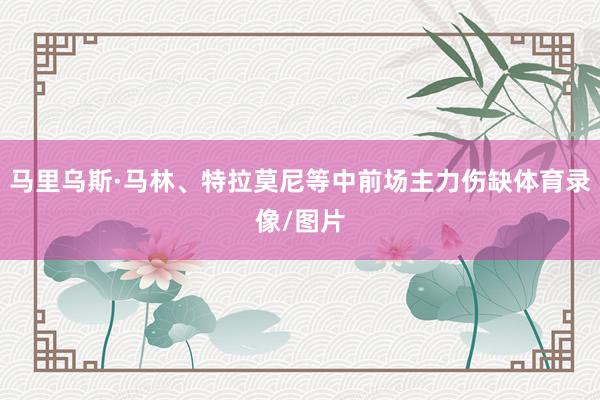 马里乌斯·马林、特拉莫尼等中前场主力伤缺体育录像/图片