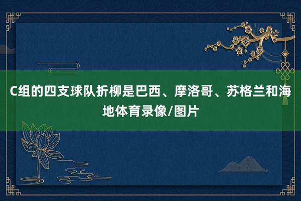 C组的四支球队折柳是巴西、摩洛哥、苏格兰和海地体育录像/图片