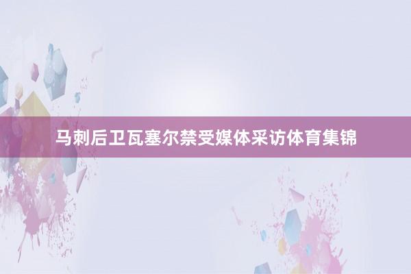 马刺后卫瓦塞尔禁受媒体采访体育集锦