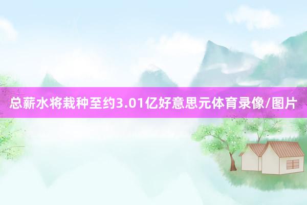 总薪水将栽种至约3.01亿好意思元体育录像/图片