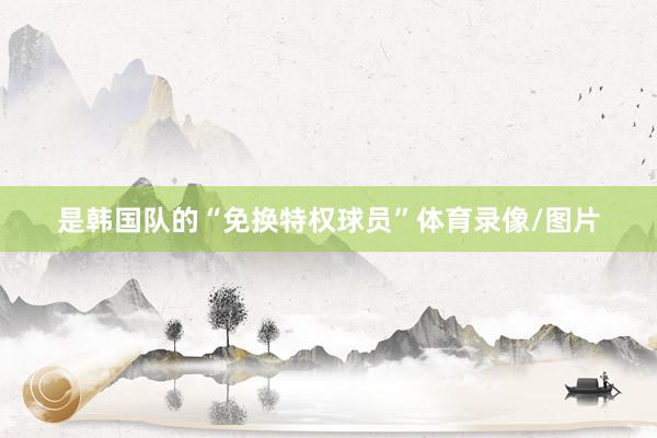 是韩国队的“免换特权球员”体育录像/图片